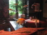 Fische f540.jpg